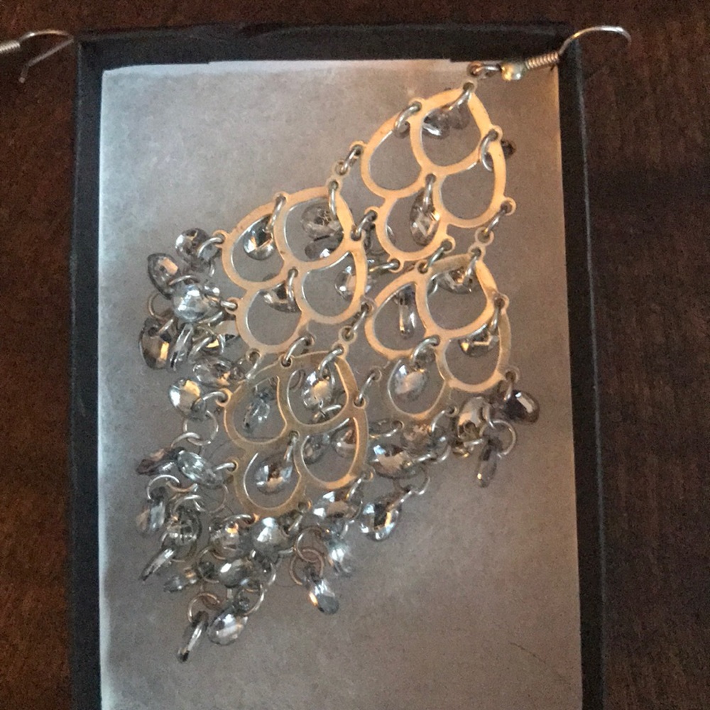 Costume Silver in color Earrings